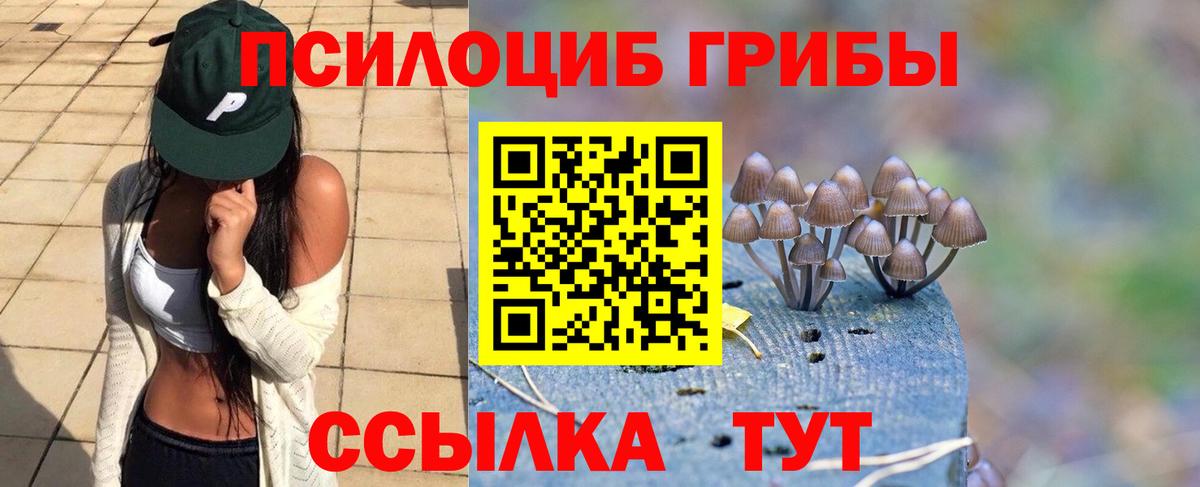 Псилоцибиновые грибы MAGIC MUSHROOMS Тельмана